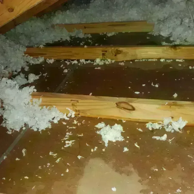 Attic Water Damage in Kensington, CT